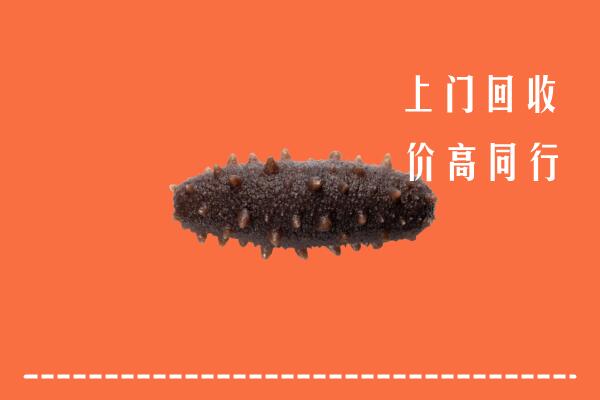 高价求购：庆安县回收海参