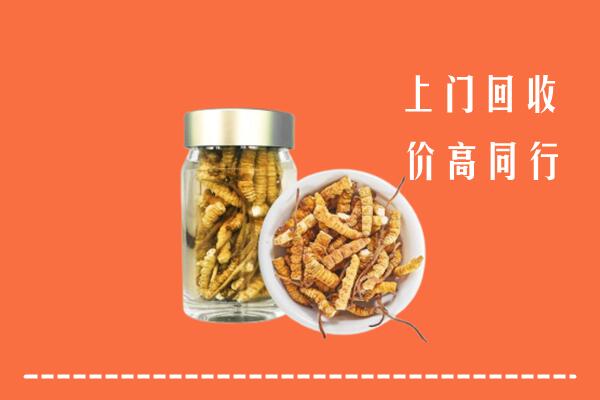 庆安县回收冬虫夏草